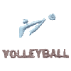 Volleyball Symbol