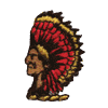 Indian Chief Profile