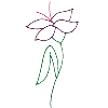 Long-stemmed Lily
