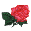 Short-stem Rose