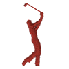 Swinging Golfer profile