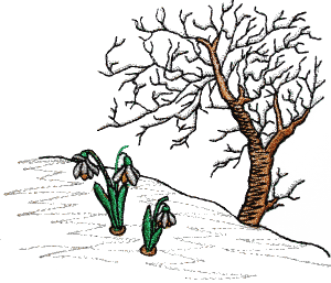Snowy limbed tree