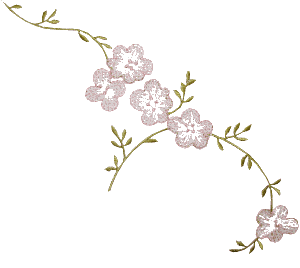 Pale flower strand