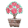 Potted flowering Tree
