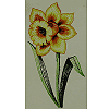 Single Flower