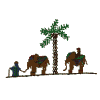 Elephant riders