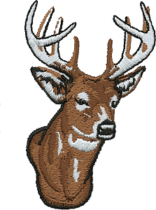 Large Deer Head