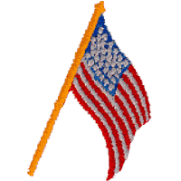 Flag - American