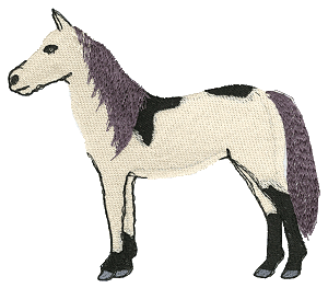 Horse Standing