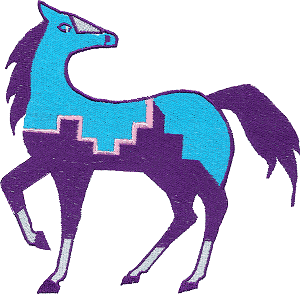 Southwest Pony