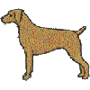 Labrador with 1/4 tail