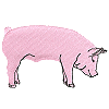 Machine Embroidery Designs Pigs category icon