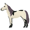 Horse Standing