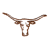Longhorn Outline with detail