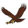 Three-color Eagle