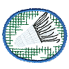 Badminton net and birdie