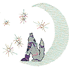 Coyote with Moon appliqué