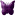 Dark Purple - loops