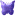 Purple Box outline