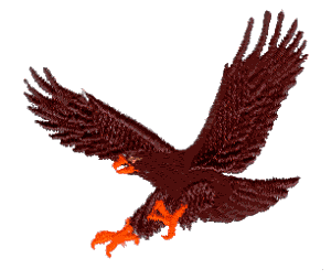 Hawk 1