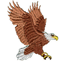 Eagle 11