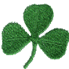 Three leaf clover