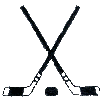 Hockey puck and sticks
