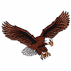 Eagle 7