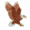 Eagle 11