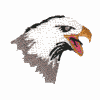 Eagle 12