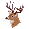 Deer 8