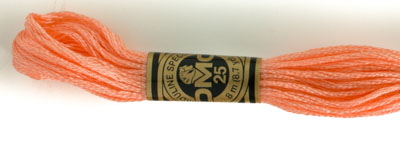 DMC 6 Strand Cotton Embroidery Floss / 3824 LT Apricot