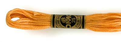 DMC 6 Strand Cotton Embroidery Floss / 3854 MD Autumn Gold
