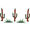 Cacti (Cactus)