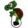 Turtles can jump rope too!