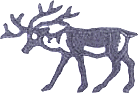 Deer Graphic