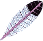 Feather 2