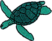 Sea Turtle -1