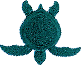 Sea Turtle Logo -2