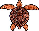 Sea Turtle -4