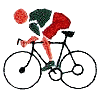 Bike Rider Graphic