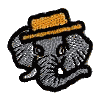 Elephant Head With Straw Hat