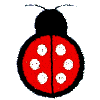 Geometric Ladybug