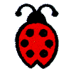 Ladybug in Tails