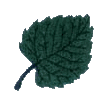 Leaf -10