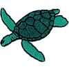 Sea Turtle -1