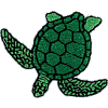 Sea Turtle -2