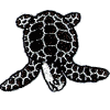Sea Turtle -3