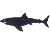 Shark Silhouette