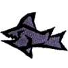 Graphic Shark